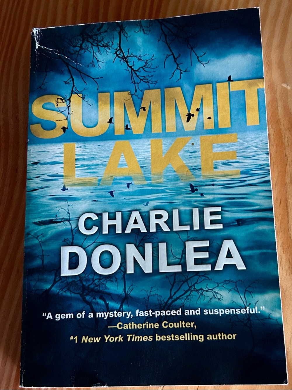 Summit Lake by Charlie Donlea Paperback Thriller